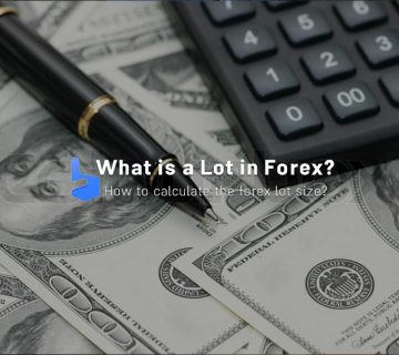 What is a Lot in Forex? The Forex Lot Size