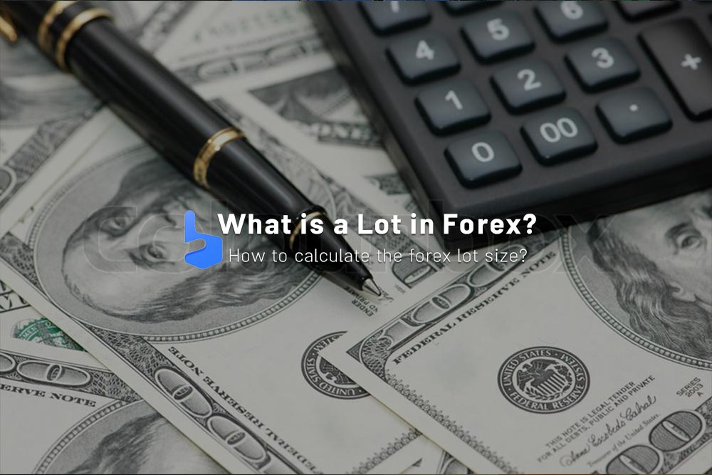 What is a Lot in Forex? The Forex Lot Size