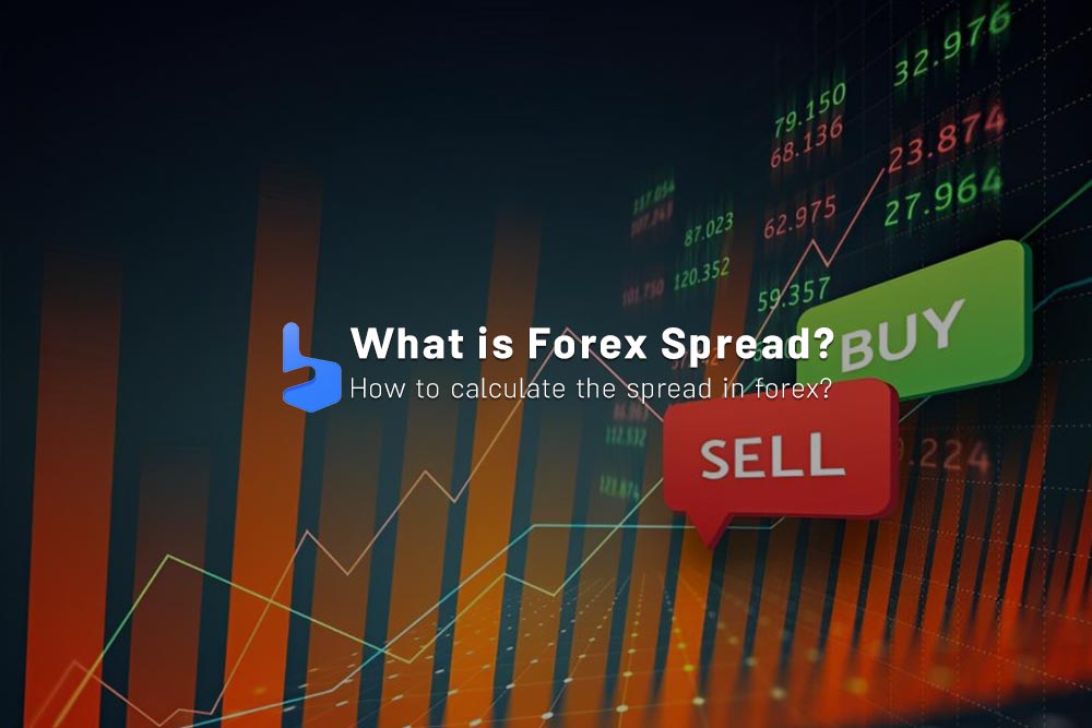 What is Forex Spread and how to calculate it?