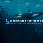 Stop Hunting : How it Works and How to Avoid it?