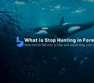 Stop Hunting : How it Works and How to Avoid it?