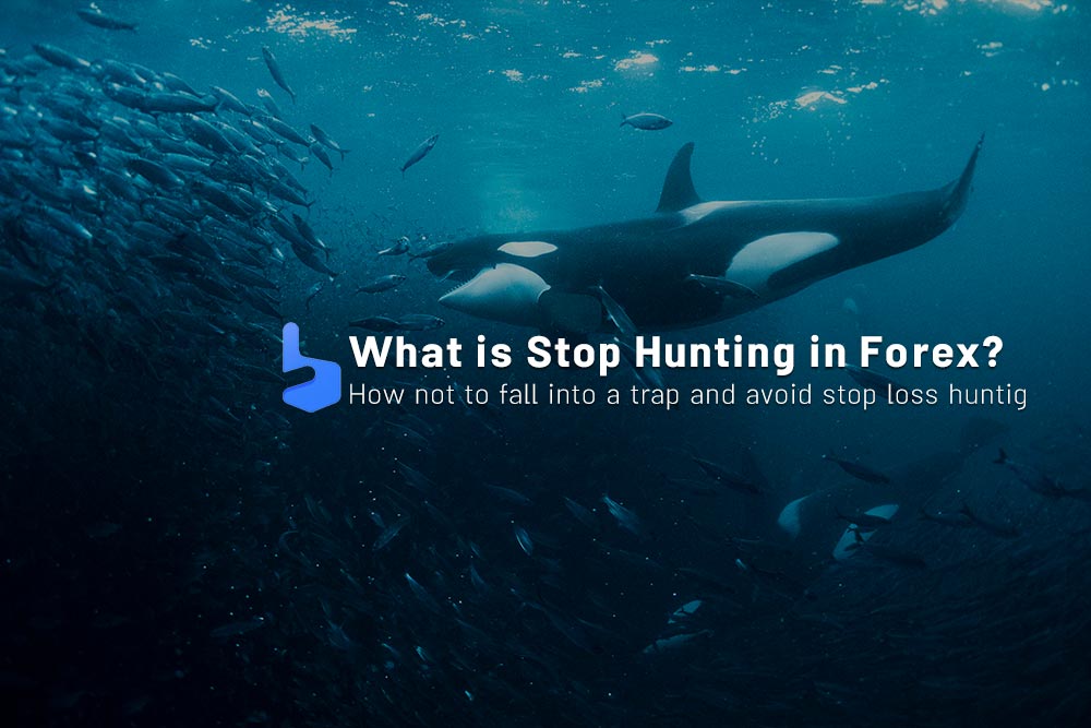 Stop Hunting : How it Works and How to Avoid it?