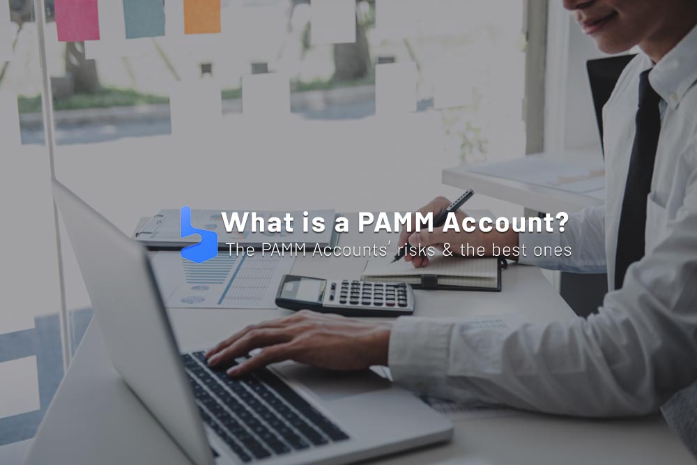 PAMM Account | How Does it Work and What Are The Risks?