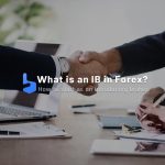 What is an introducing broker (IB) in Forex?