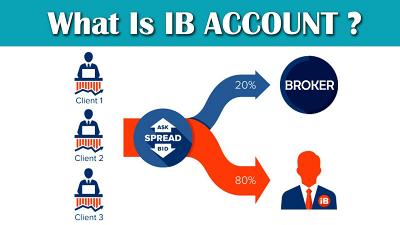 How to Earn Income as an Introducing Broker?