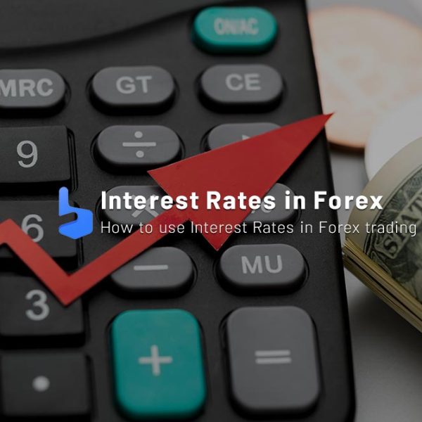 The Importance of Interest Rates in Forex?