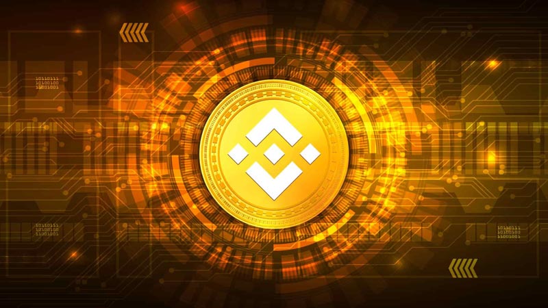 Introduction to Binance Coin