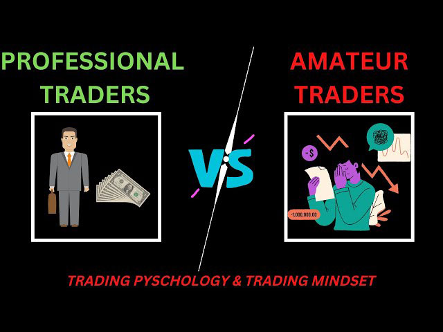Who is a professional trader?